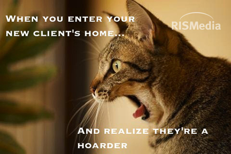 8 Real Estate Cat Memes to Live By