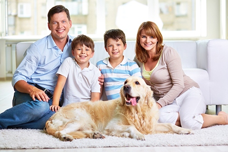 Helping Clients with Pets Find the Perfect Home