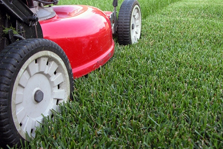 How to Keep Your New England Lawn Looking Its Best