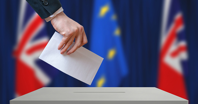 Brexit Vote Drives down Mortgage Rates, Results Show