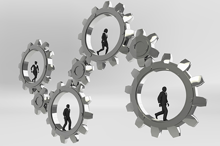 Better Homes and Gardens Real Estate Names Daniel Dannenmann Chief Operating Officer