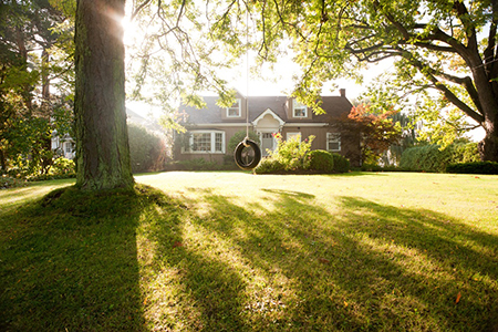 Preserve Curb Appeal during Summer Storm Season