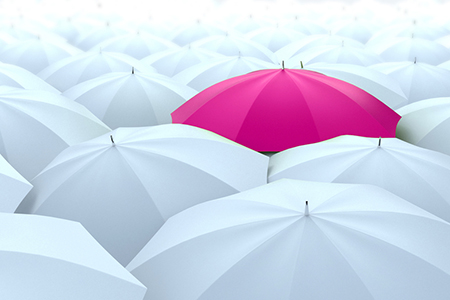 Gretchen Pearson: Raising the Standards