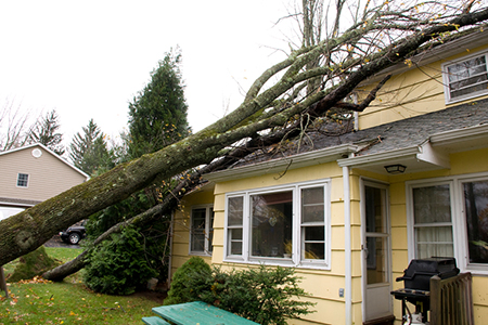 Freddie Mac Extends Disaster Relief to Borrowers Impacted by Hurricane Matthew