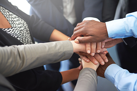 Building and Branding Team Business