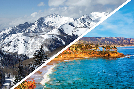 Surfboard or Snowboard: Lifestyle Markets for All