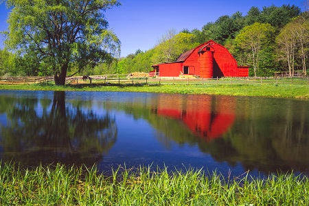 Earth Day: Top 10 ‘Greenest’ States