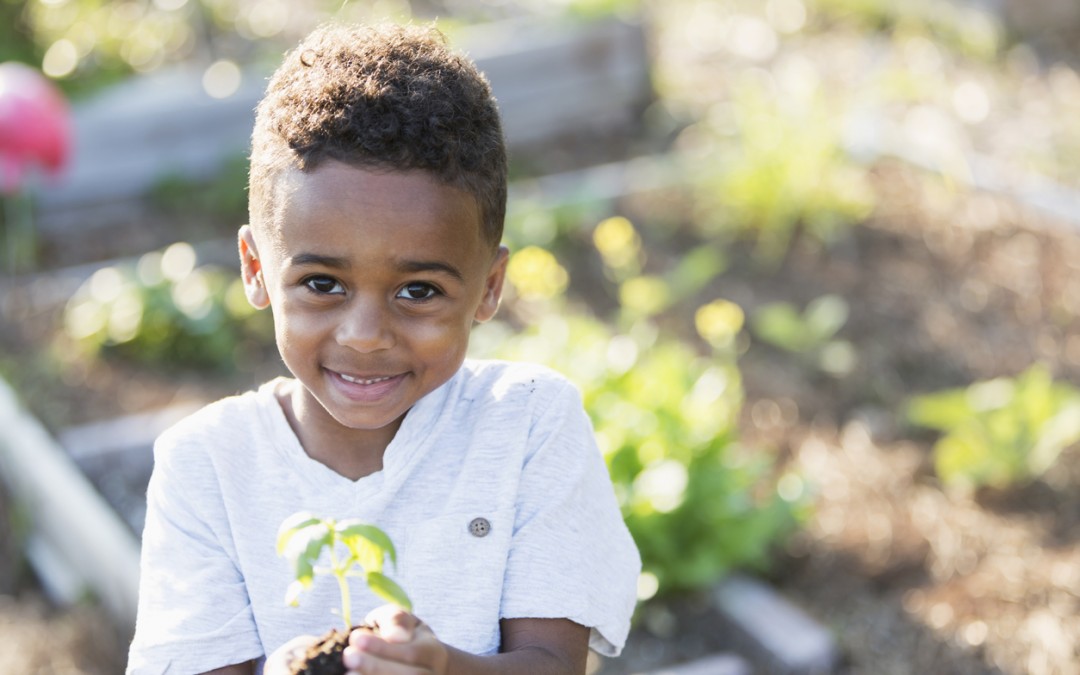 The Great Outdoors: Tips for Celebrating Earth Day