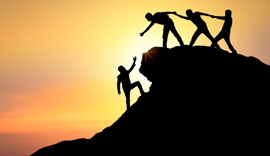 Why Teams Are the Future