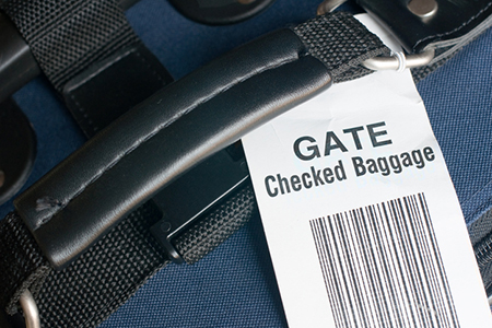 Air Travel 101: How to Avoid Paying for a Checked Bag