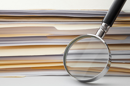 The Transparency of Public Records