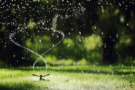 Are You Making These 5 Lawn Watering Mistakes?