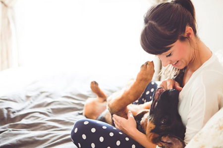 How to Make Your Home Design Pet-Friendly