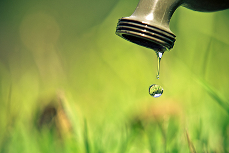 5 Practical Water Conservation Tips to Keep Your Garden Lean and Green