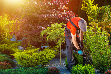 4 Questions to Ask Your Landscaper Before They Dig In