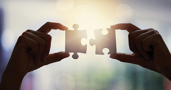 Paper Tiger: The Stalled HRO Takeover of Mobility