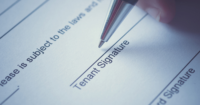 Stop Leaving Money on the Table: 5 Tips to Monetize Rental Leads