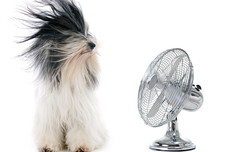 How to Stay Cool and Save Money