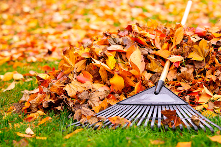 Fall into Leaf Maintenance