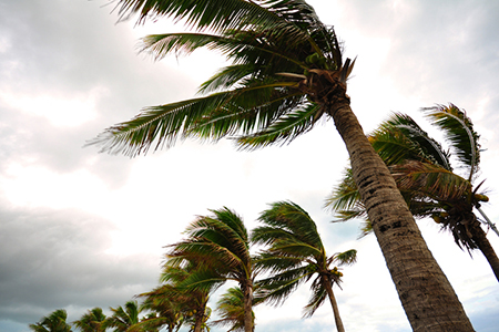 Tips From Industry Professionals on Surviving Real Estate During Hurricane Season