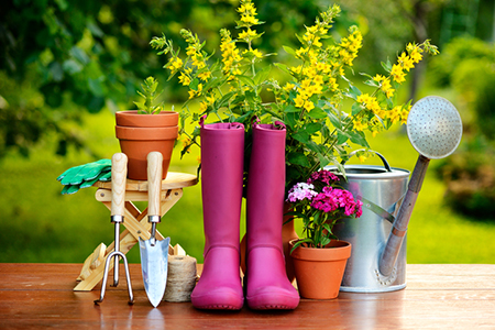 Do You Have the Right Tools to Dig Into Spring Gardening?