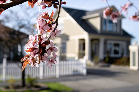 Low Inventory, Rising Rates and a Bustling Spring Market