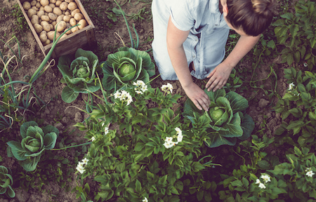 How to Tackle Your Garden This Year