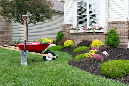 Landscaping Mistakes to Avoid