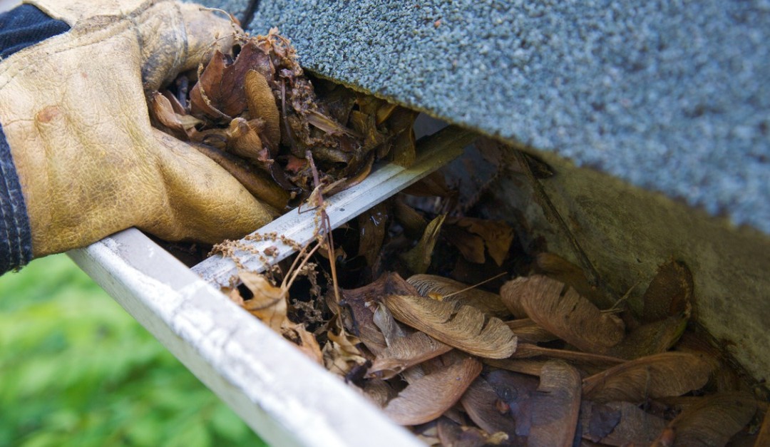 Gutter Maintenance for a Smooth Sale