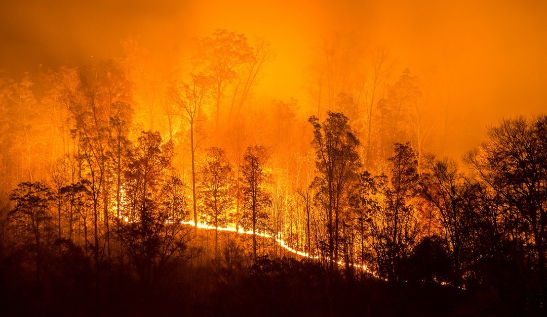 Deadly California Wildfires Claim Lives and Real Estate