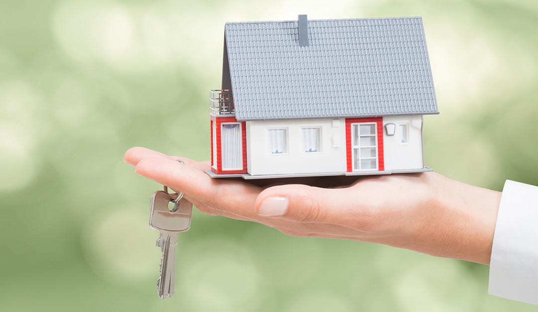 Nancy Fennell: Staying True to the Vision