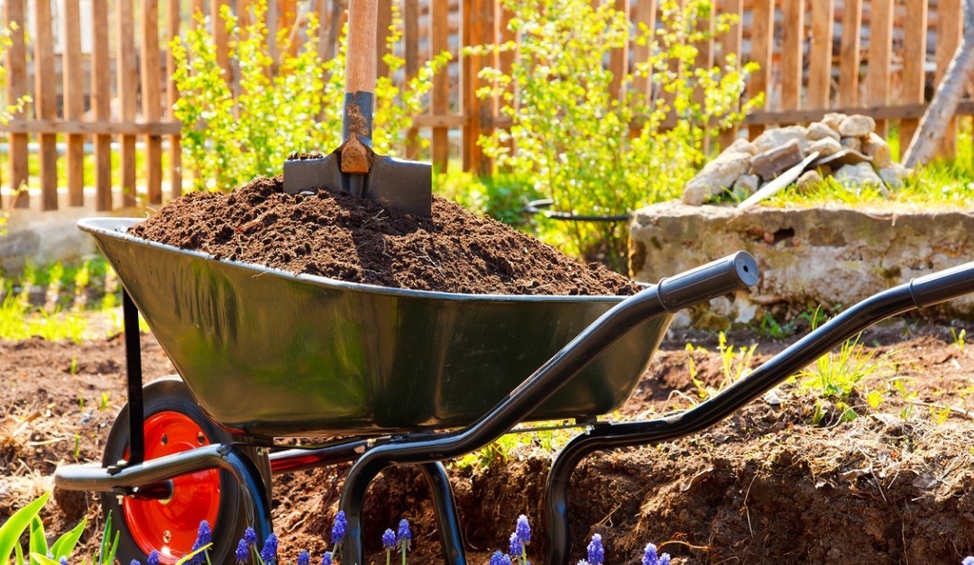 Late Summer Landscaping Tips