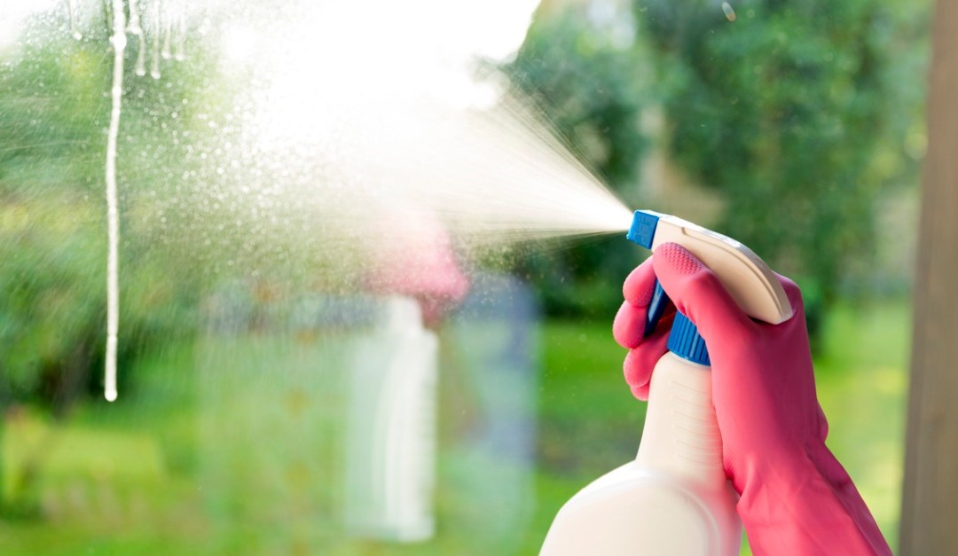 5 Steps for Clean Window Screens