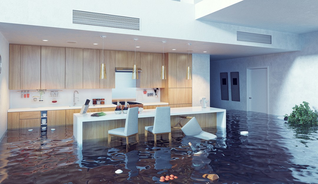 Flood Insurance Reforms Critical for a Vibrant Housing Market