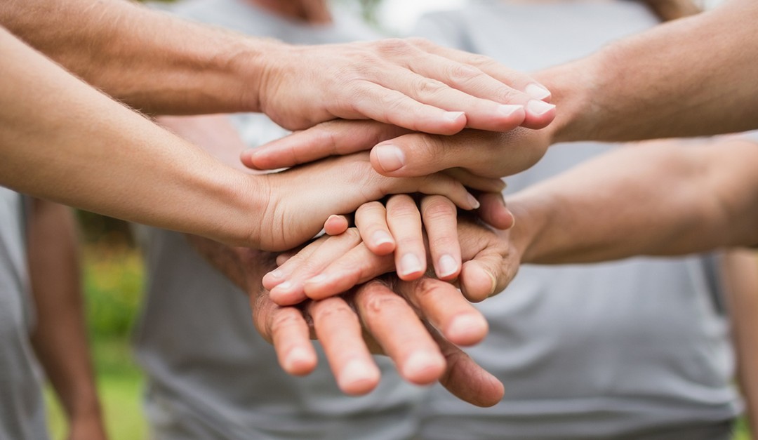 Vote for Your Favorite Good Neighbor Finalists