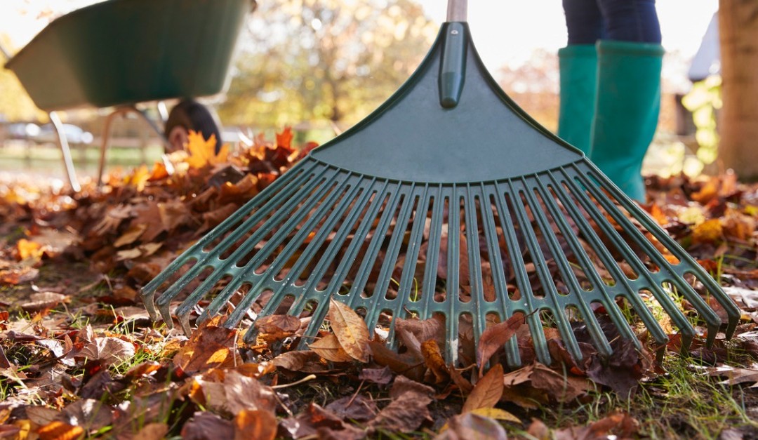 Rake Those Leaves for a Faster Sale