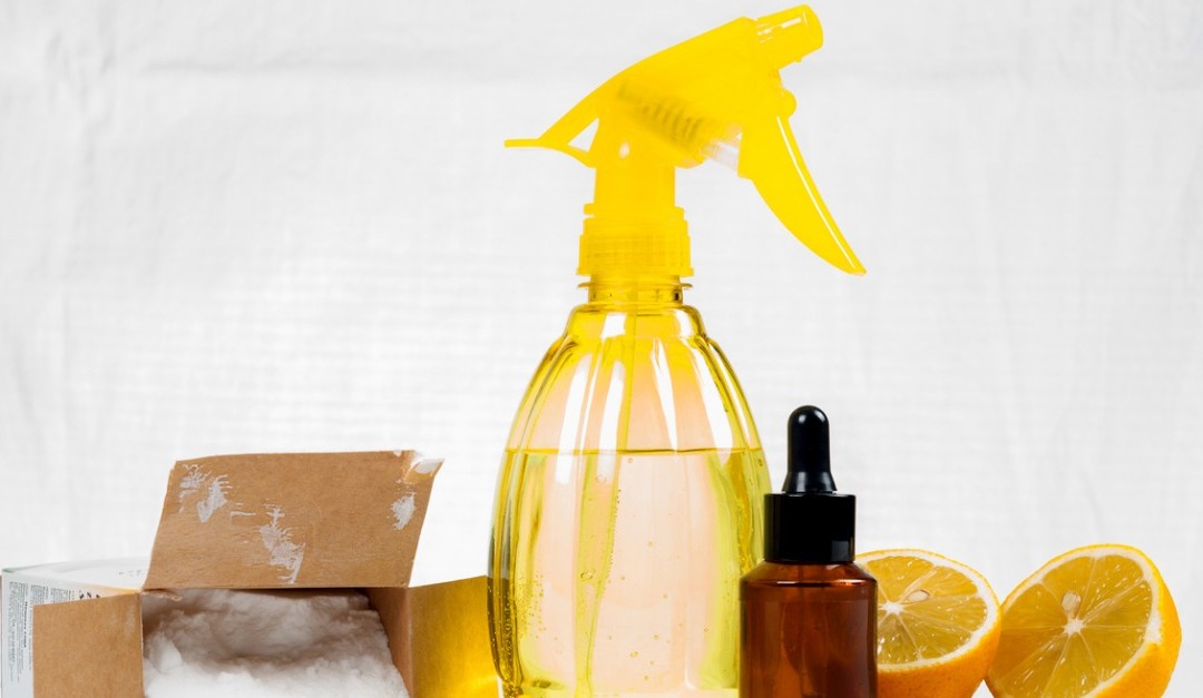 10 Painless Changes for a Greener Home