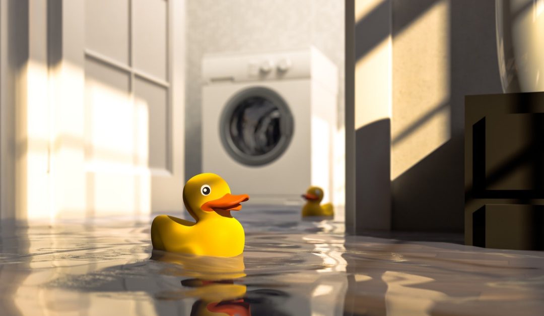 Flooded Basement? What to Do