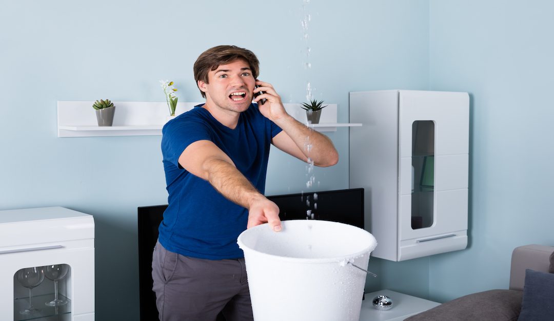 Should You Fix a Problem Yourself or Call a Professional?