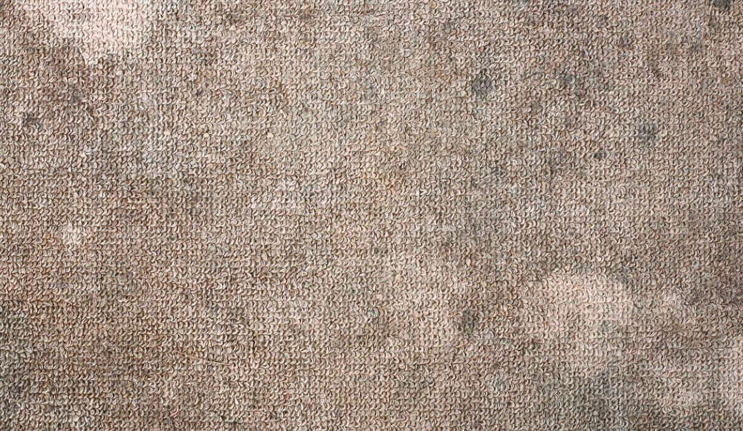 7 Reasons Why Wall-to-Wall Carpets Need to Go