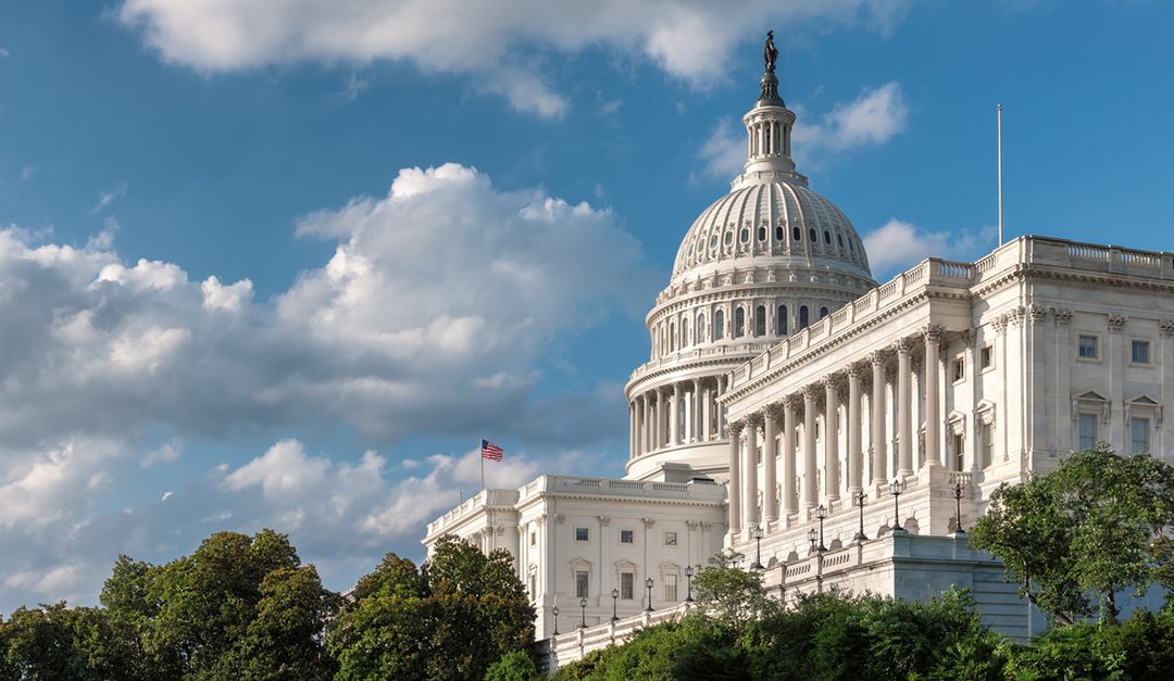 National Association of REALTORS® 2021 Legislative Preview