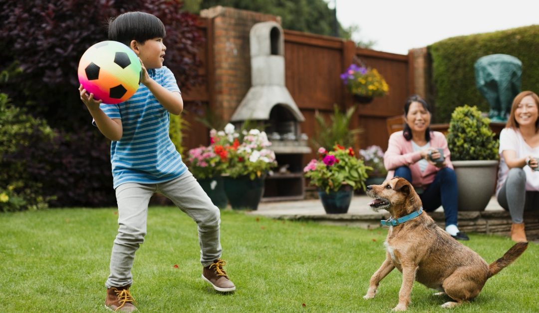 Adding a Dog to the Family? Here Are Some Expenses to Consider