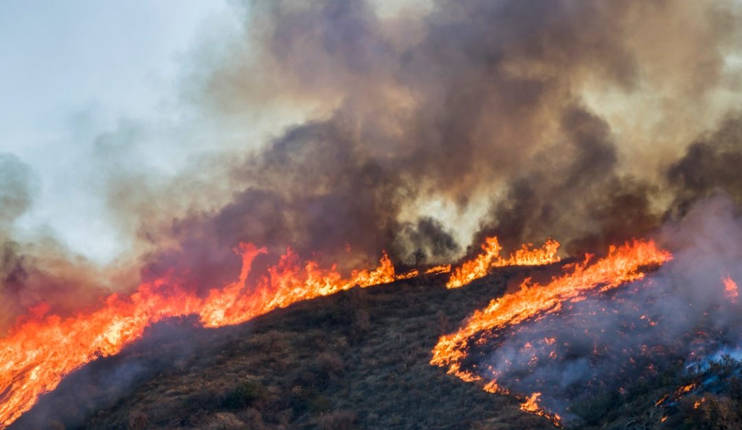 Where’s Paradise? California Community to Rebuild or Relocate After Deadly Camp Fire