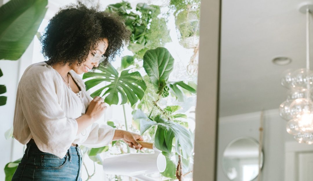 Concerned About Air Quality? Houseplants Might Help