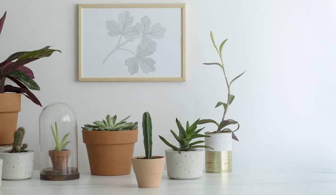 5 Ways to Show Love to Your Home This February