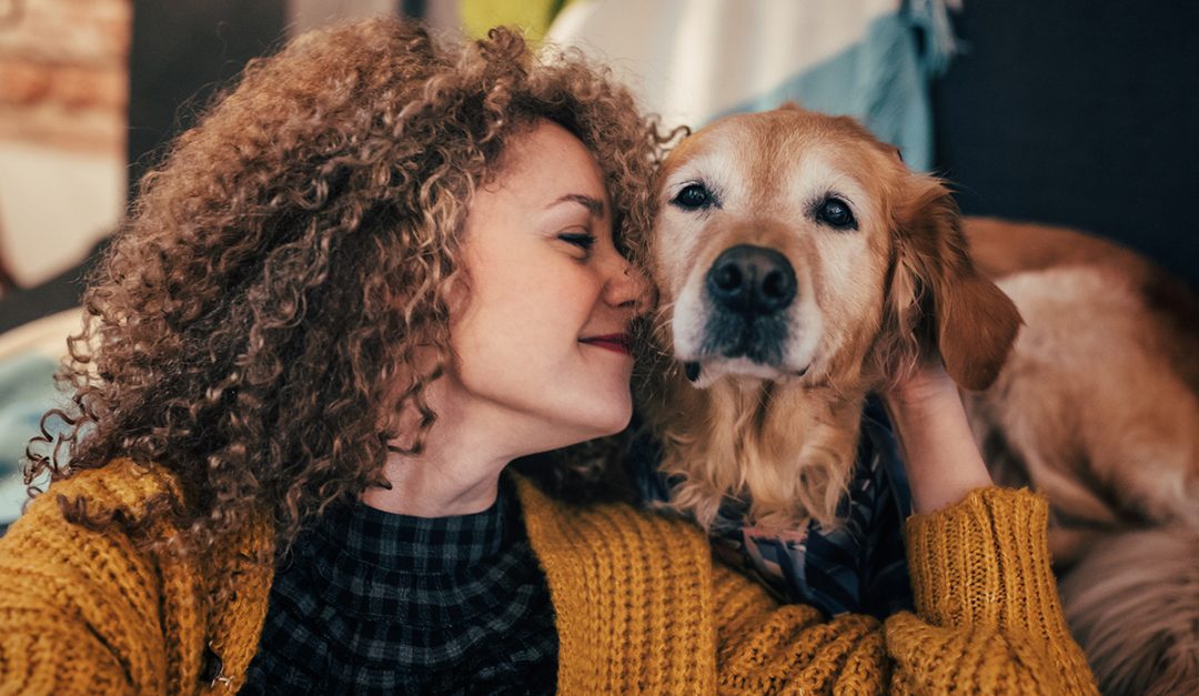 Show Your Pet Some Love