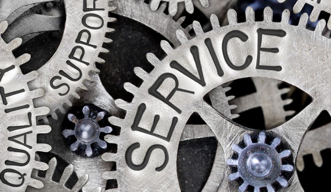 Mary Lynn Stone: A Steady Focus on Service