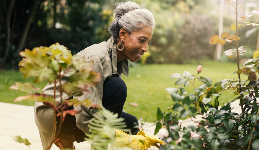 7 Tips for Becoming a Better Gardener