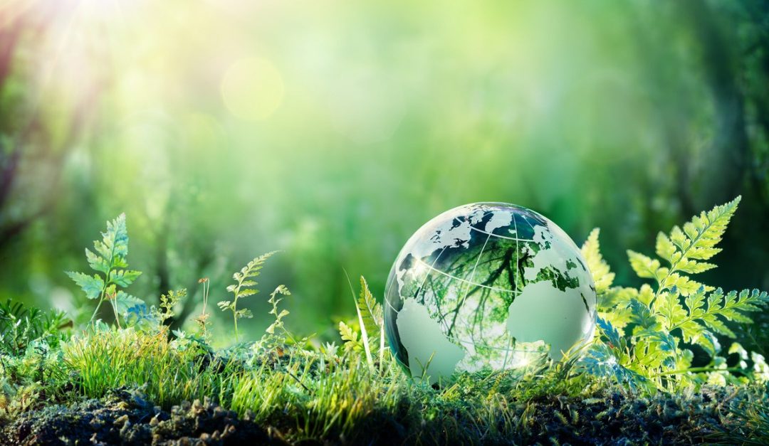 Joining the Zero-Waste Movement Is Easier Than You Think