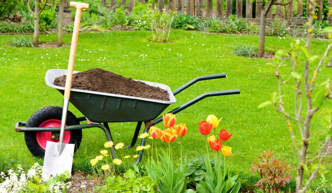 Would Improving the Yard Help Your House Sell Faster?